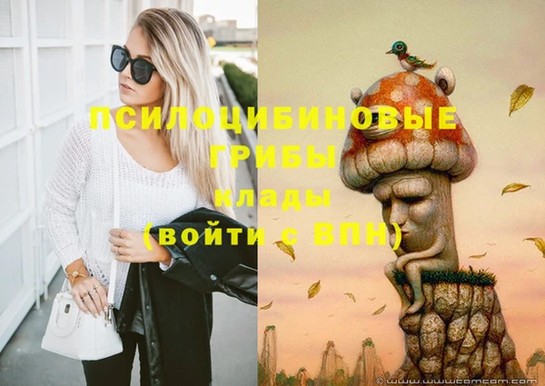 MDMA Premium VHQ Аркадак