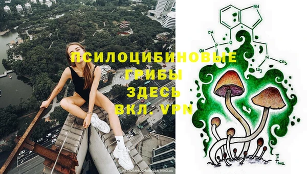 MDMA Premium VHQ Аркадак